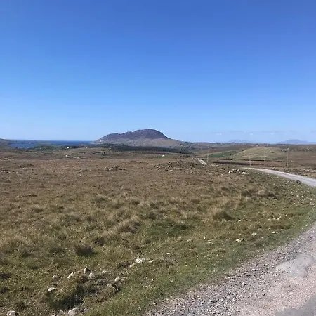 Red Deer Cosy In Connemara *
