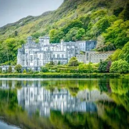 Red Deer Cosy In Connemara