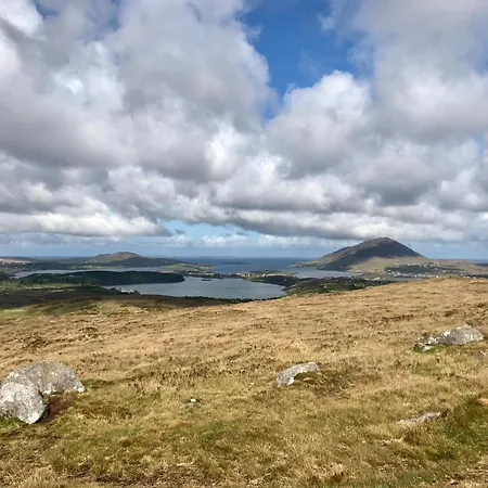 Red Deer Cosy In Connemara Daire *