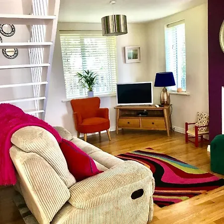 Red Deer Cosy In Connemara *