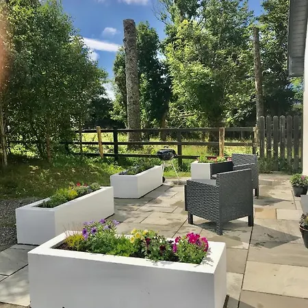 Red Deer Cosy In Connemara Daire