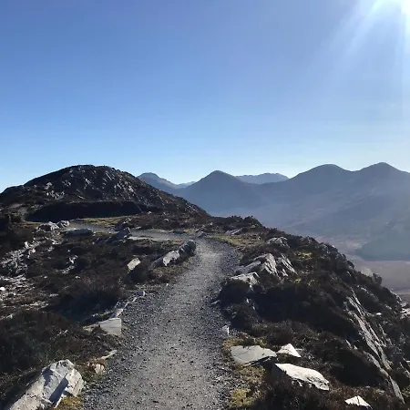Red Deer Cosy In Connemara Letterfrack