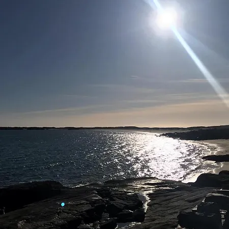 Red Deer Cosy In Connemara Lägenhet *
