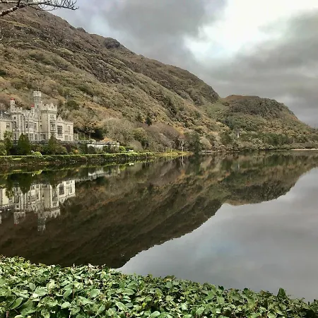 Red Deer Cosy In Connemara Lägenhet