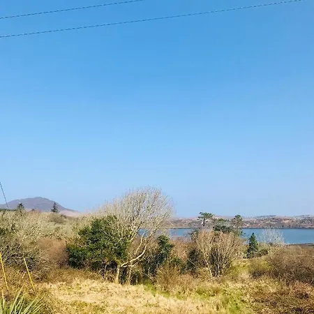 Red Deer Cosy In Connemara Letterfrack