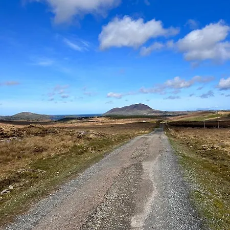 Red Deer Cosy In Connemara