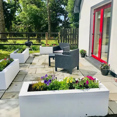 Red Deer Cosy In Connemara * Letterfrack