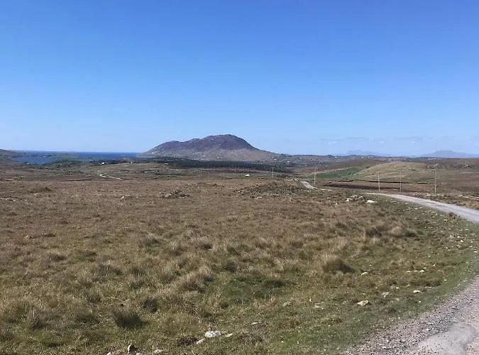 Red Deer Cosy In Connemara *