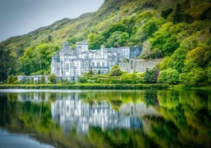 Red Deer Cosy In Connemara