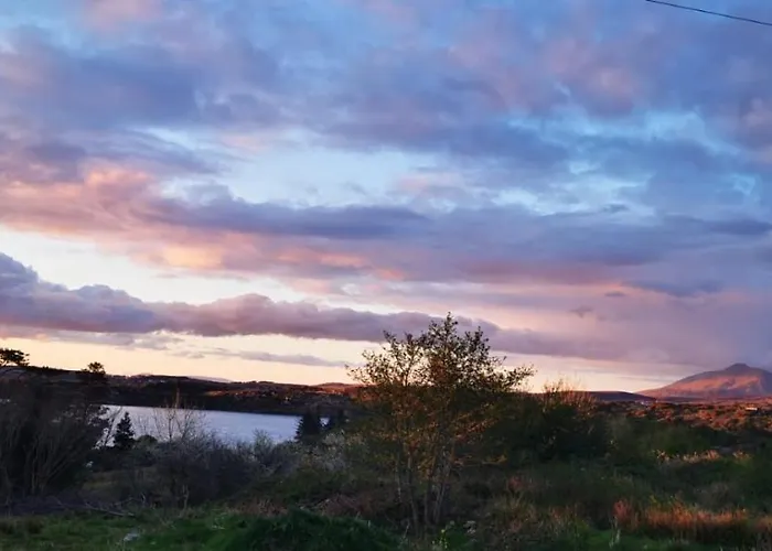 Red Deer Cosy In Connemara * 레터프랙