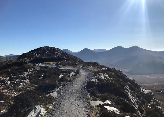 Red Deer Cosy In Connemara 레터프랙