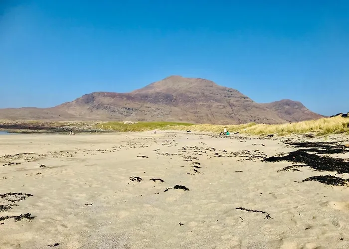 Red Deer Cosy In Connemara 아파트