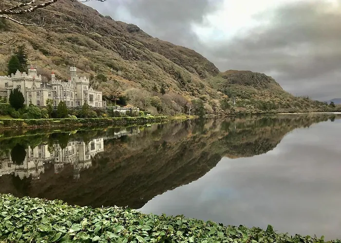 Red Deer Cosy In Connemara Apartamento