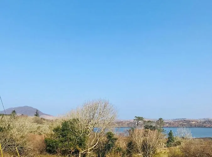 Red Deer Cosy In Connemara Letterfrack