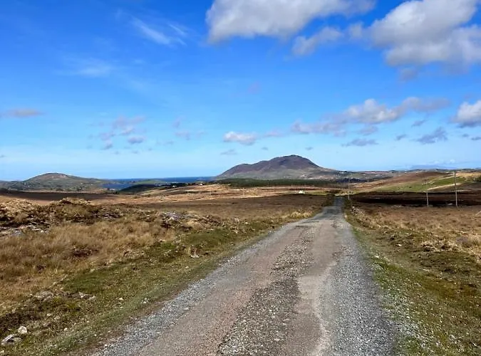 Red Deer Cosy In Connemara