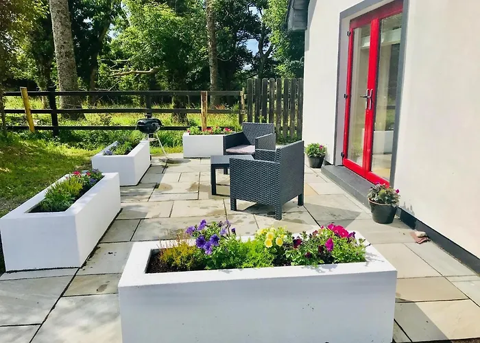 Red Deer Cosy In Connemara * 레터프랙