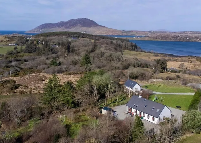 Red Deer Cosy In Connemara *